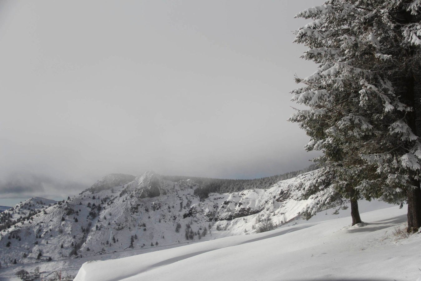 Nature ardéchoise - vagabondphotos.ch