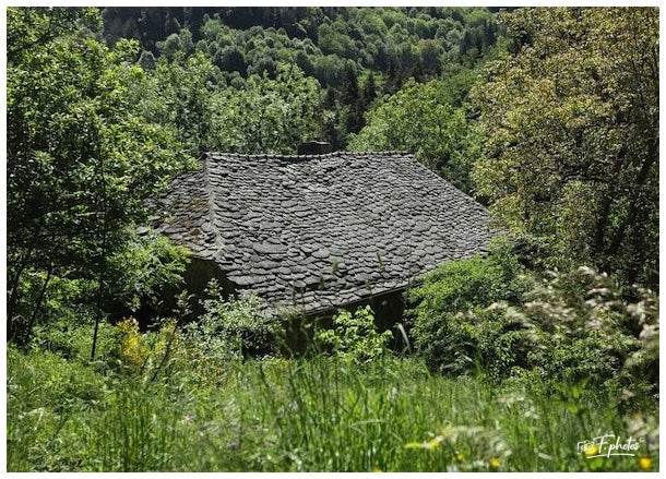 Ardèche 07 France  Mais 2025