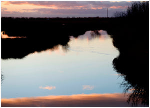 Camargue décembre 2023 - vagabondphotos.ch