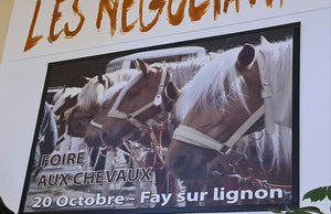 Fay-sur-Lignon, Foire de chevaux. 20 Octobre 2022 2023 France - vagabondphotos.ch