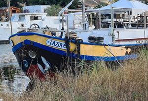 Bateau diver