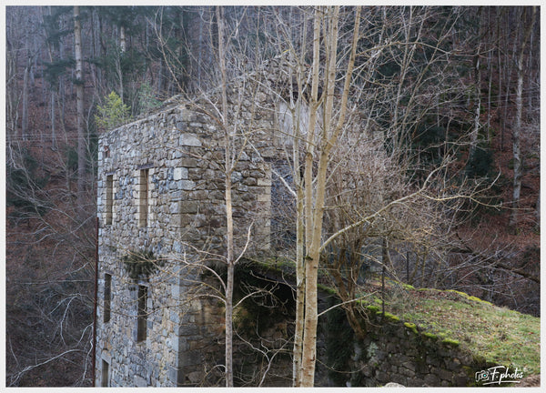 Maison 9