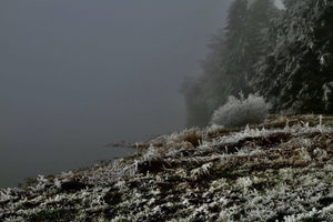 10. Arbres avec le givres, photos prise en Haute Loire, Ardèche. France. - vagabondphotos.ch