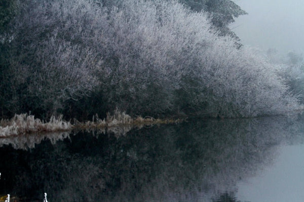 2. Arbres avec le givres, photos prise en Haute Loire, Ardèche. France - vagabondphotos.ch