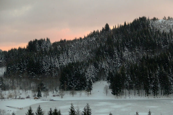 6. Le lac - vagabondphotos.ch