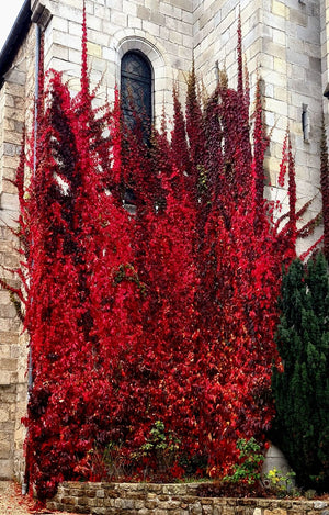 Ardèche automne 3 - vagabondphotos.ch