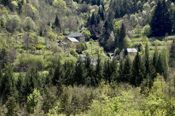 Ardèchem - vagabondphotos.ch