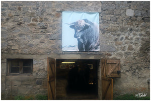 Aubrac Septembre 2023 expo - vagabondphotos.ch