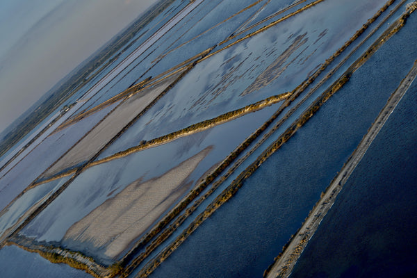 Camargue - vagabondphotos.ch