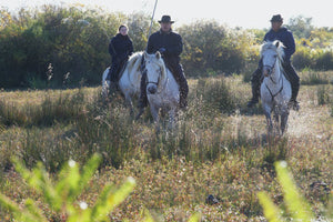 Camargue France - vagabondphotos.ch