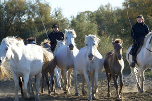 Camargue France - vagabondphotos.ch