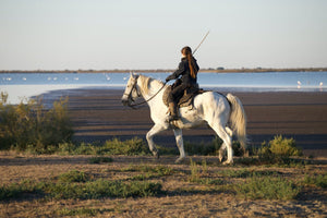 Camargue France - vagabondphotos.ch