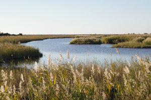 Camargue France - vagabondphotos.ch