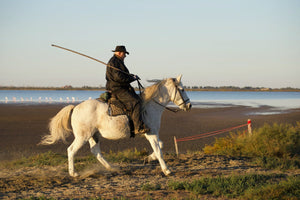 Camargue France - vagabondphotos.ch