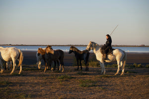 Camargue France - vagabondphotos.ch