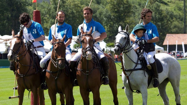 chevaux - vagabondphotos.ch