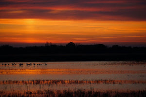 couché de soleil - vagabondphotos.ch