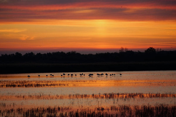 couché de soleil - vagabondphotos.ch