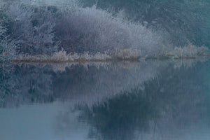 GIVRE - vagabondphotos.ch