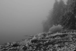 GIVRE - vagabondphotos.ch