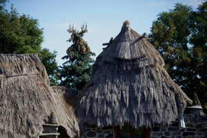 Haute Loire, Ardèche France Toit de genet séché France - vagabondphotos.ch