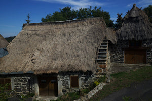 Haute Loire, Ardèche France Toit de genet séché France - vagabondphotos.ch