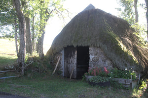 Haute Loire, Ardèche France Toit de genet séché France - vagabondphotos.ch