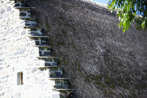 Haute Loire, Ardèche France Toit de genet séché France - vagabondphotos.ch