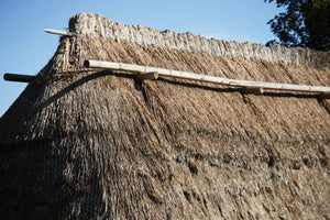 Haute Loire, Ardèche France Toit de genet séché France - vagabondphotos.ch