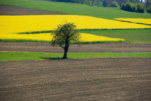 la Suisse autrement - vagabondphotos.ch