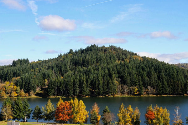 lac - vagabondphotos.ch