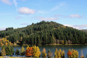 lac - vagabondphotos.ch