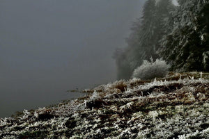 Lac gelé - vagabondphotos.ch