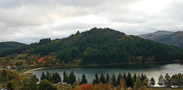 Le lac - vagabondphotos.ch