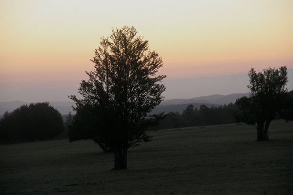 Levé de soleil. - vagabondphotos.ch