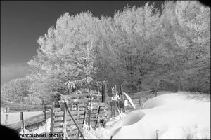 noir blanc - vagabondphotos.ch