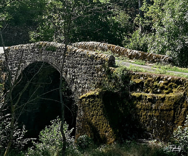 pont - vagabondphotos.ch