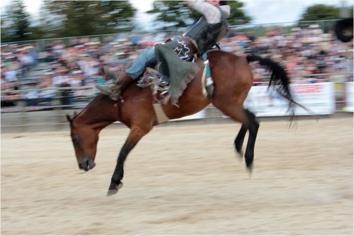 Reportage Equiblues St AGREVE aout 2018 France - vagabondphotos.ch