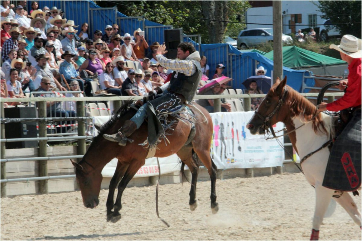 Reportage Equiblues St AGREVE aout 2018 France - vagabondphotos.ch