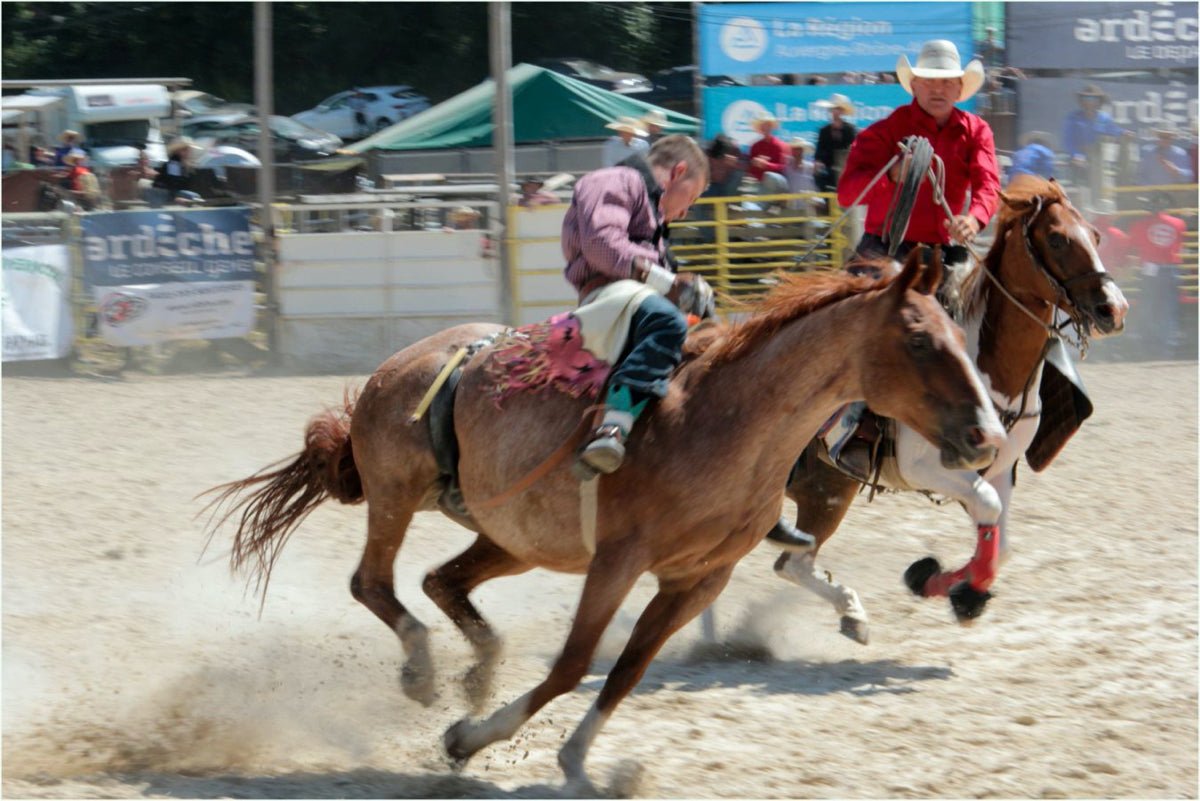 Reportage Equiblues St AGREVE aout 2018 France - vagabondphotos.ch