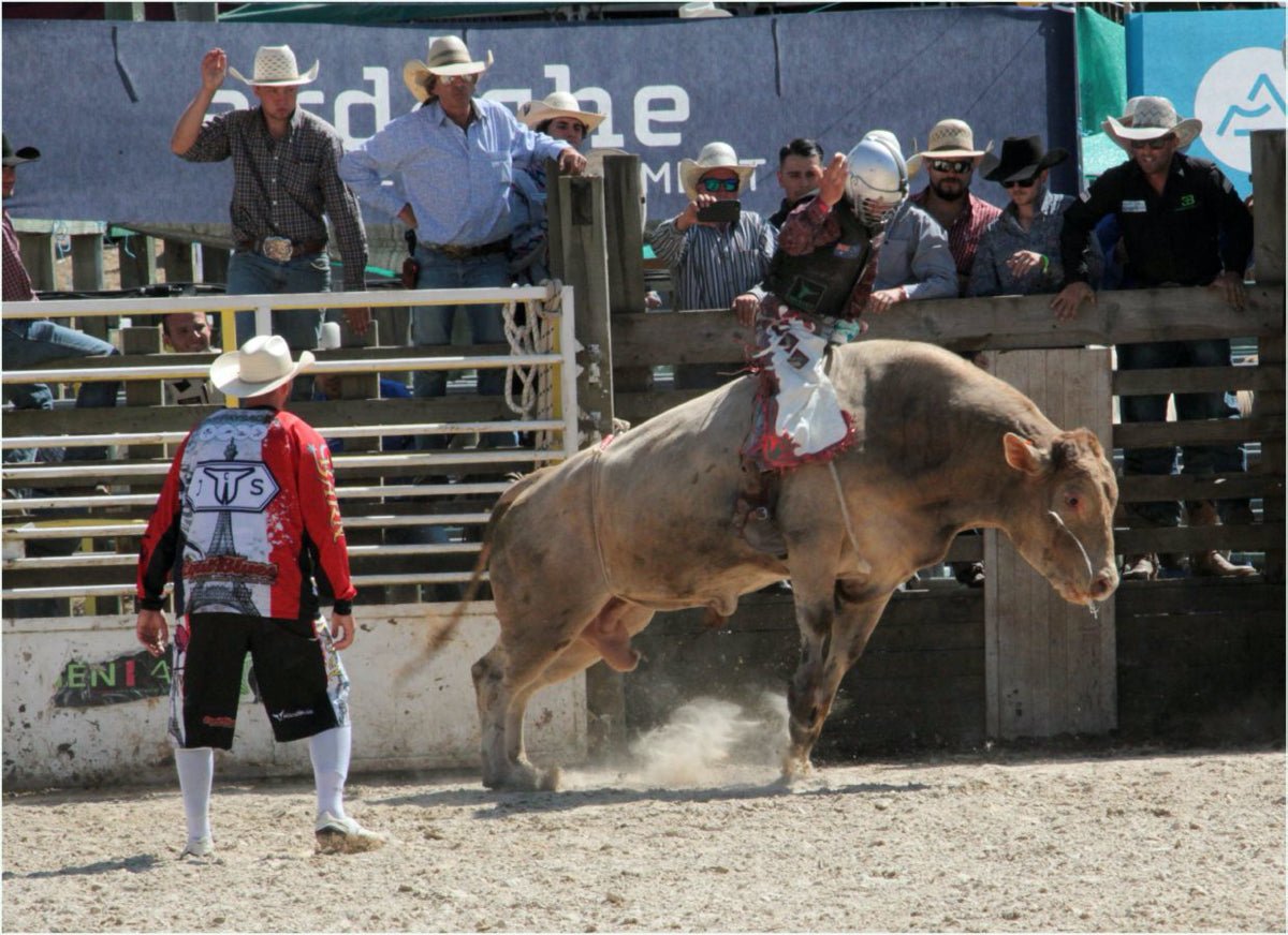 Reportage Equiblues St AGREVE aout 2018 France - vagabondphotos.ch