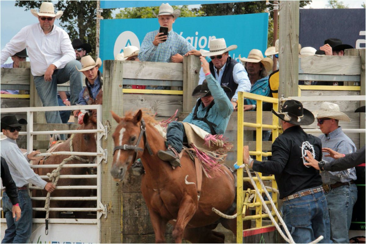 Reportage Equiblues St AGREVE aout 2018 France - vagabondphotos.ch