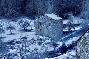 Rimande hiver - vagabondphotos.ch