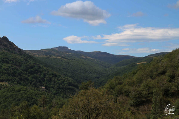 Vallée - vagabondphotos.ch